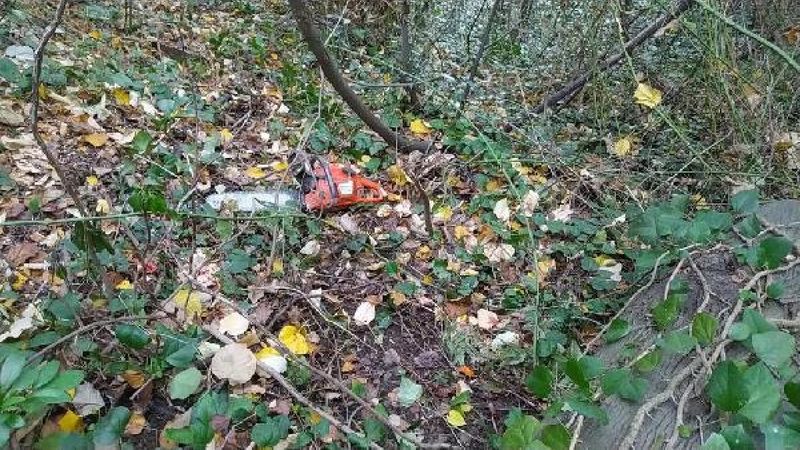 Sakarya'da kestiği ağaç üstüne düşünce yaşamını yitirdi