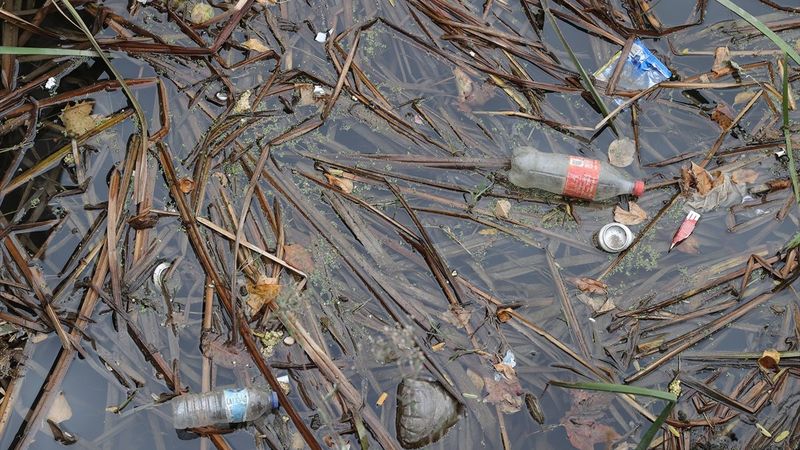 Edirne'deki Tunca Nehri çöplüğe döndü