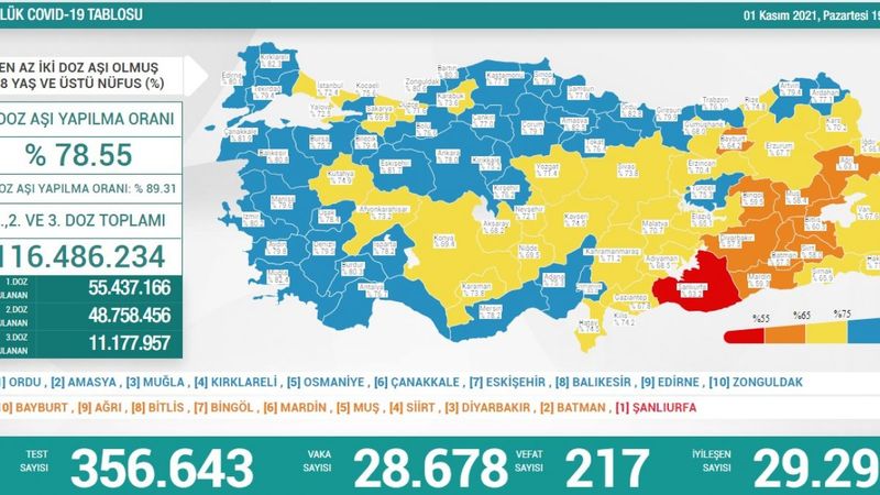 1 Kasım Türkiye'nin korona tablosu