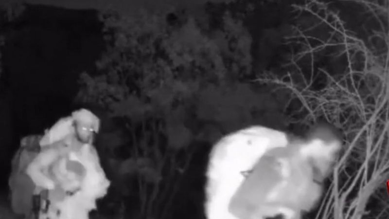 Siirt'te fotokapana yakalanan teröristler vuruldu