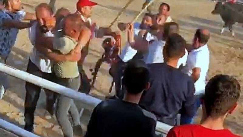 Muğla'daki boğa güreşinde tekmeli sopalı kavga