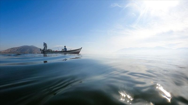 Yılan balığının Meksika'dan Türkiye'ye yolculuğu