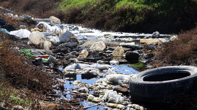Edirneliler, Tunca Nehri'ndeki kirliliğe çözüm bulunmasını istedi