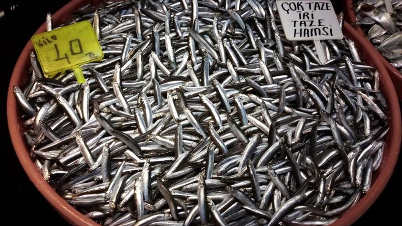 Balıkesir'de yaşanan fırtına balık fiyatlarını ikiye katladı