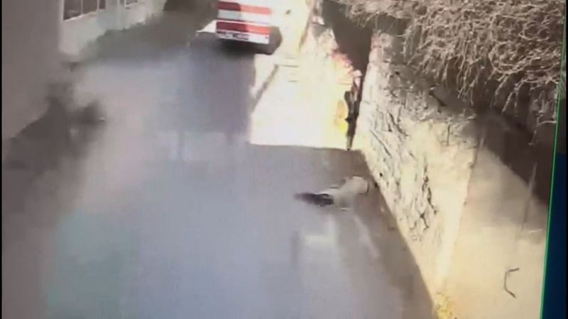 Isparta’da köpeğe çarptı, yoluna devam etti