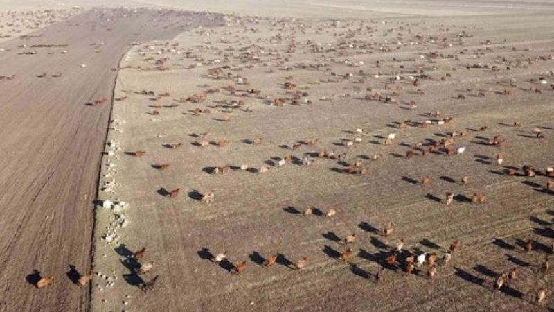 Kars’tan Iğdır’a göçerlerin zorlu yolculuğu