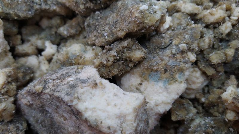 Muhteşem Süleyman'ın ordusuna yedirdiği peynir: Penisilin gibi etkili