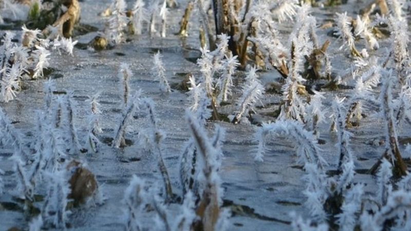 Göle'de termometreler eksi 10'u gördü