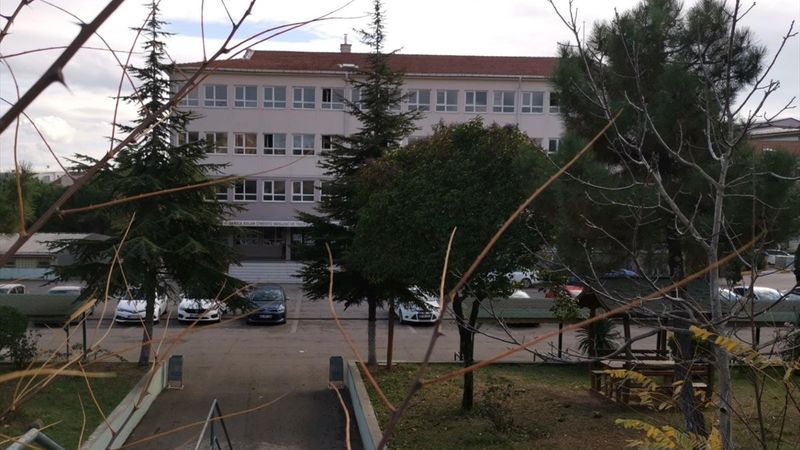 Kocaeli'de pitbull cinsi köpek 5 öğrenciyi yaraladı