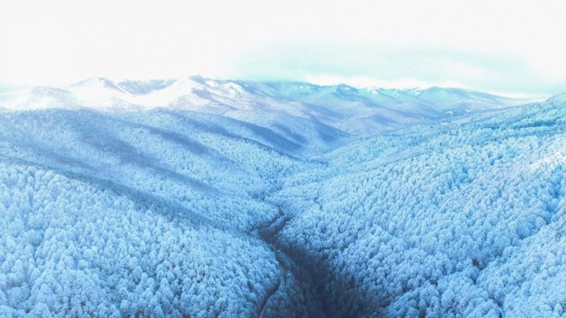 Yurttan kış manzaraları