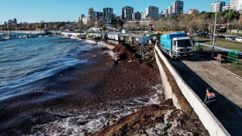 Caddebostan sahilindeki kirlilik havadan ve sualtından görüntülendi