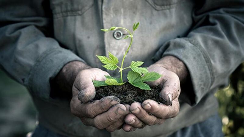 Kuraklık desteği ne zaman yatacak, kimlere verilecek?
