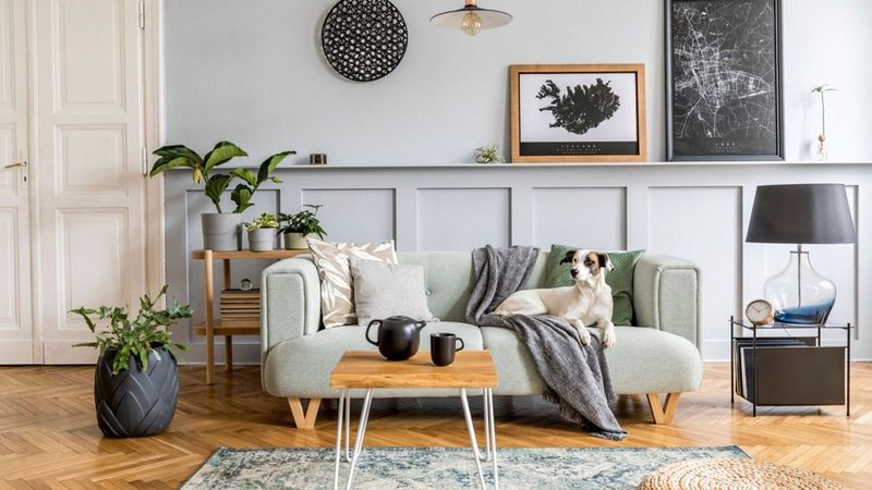 Evinizi pozitif enerjiyle doldurmanın 12 etkili yolu