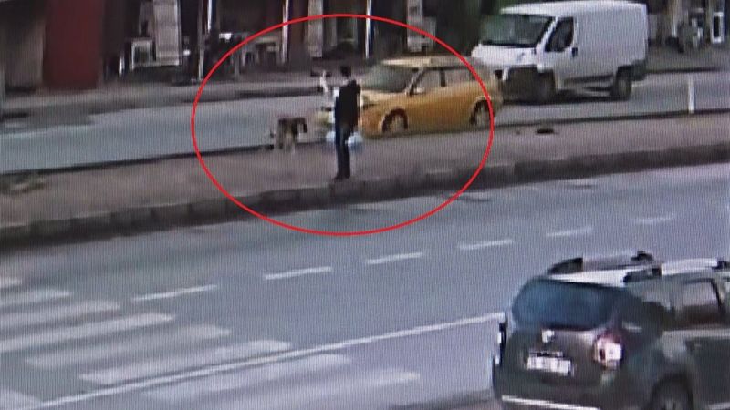 Mersin’de taksi köpeğe çarpıp kaçtı