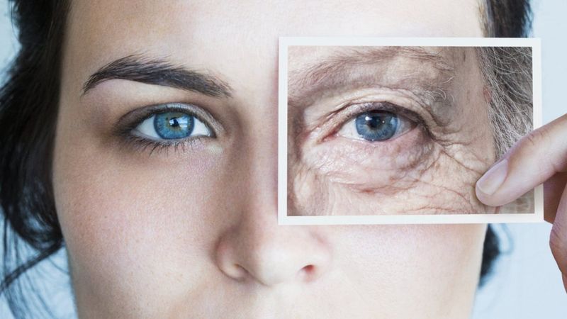 Yaşlanmaya karşı, kansere etkili! O besini tüketenler yaşadı...