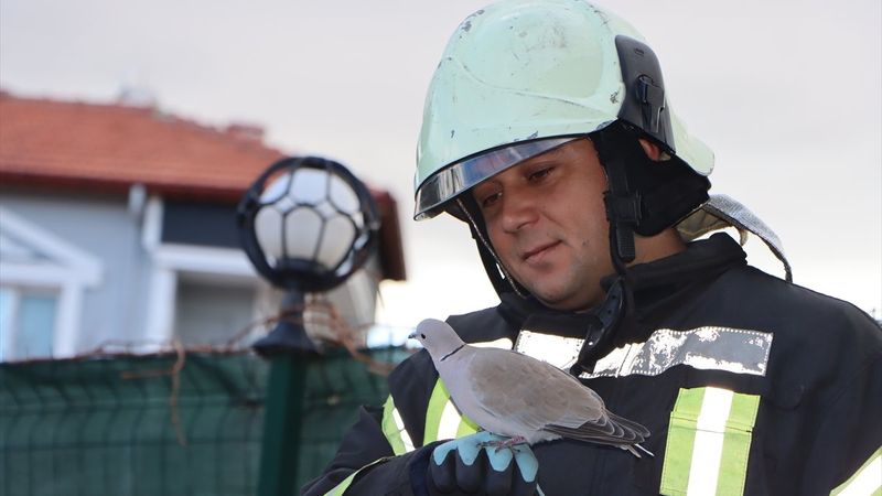 Manisa'da itfaiyenin neşe kaynağı kumru Cemile