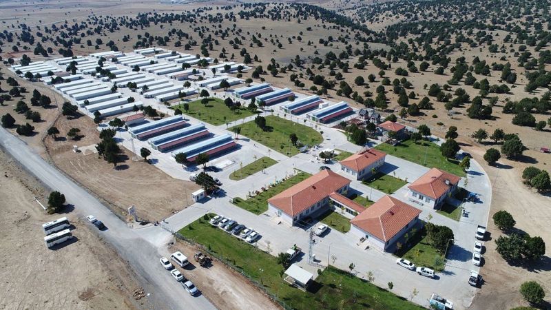 Konya'daki 100 bin metrekarelik barınakta sahipsiz hayvanların yaraları sarılıyor