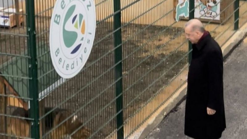 Cumhurbaşkanı Erdoğan, hayvan barınağını ziyaret etti