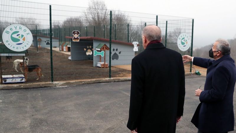 Cumhurbaşkanı Erdoğan, Maylo’yu sahipleneceğini söyledi