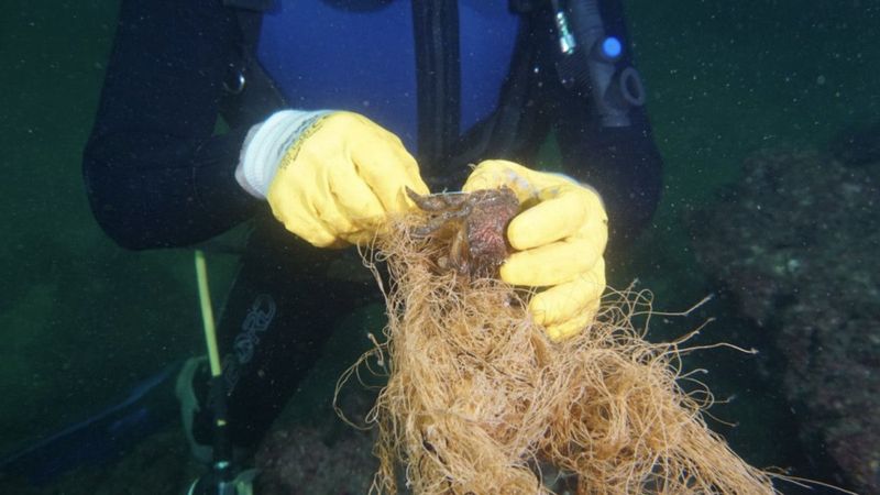 Çanakkale'de denizden 5 dönüm hayalet ağ toplandı