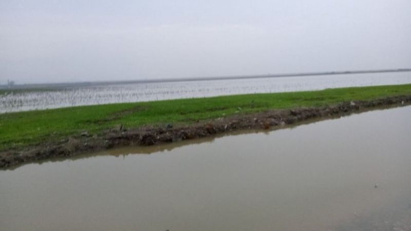 Hatay'da sağanak yaşamı olumsuz etkiledi