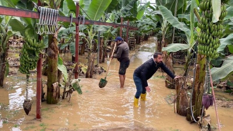 Alanya'da sağanak yağış nedeniyle dereler taştı