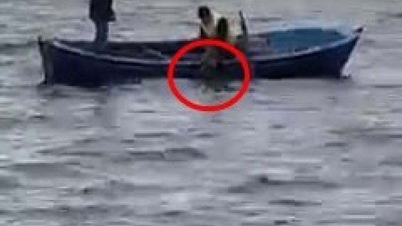 Sakarya'da gölün ortasındaki köpeği balıkçılar kurtardı