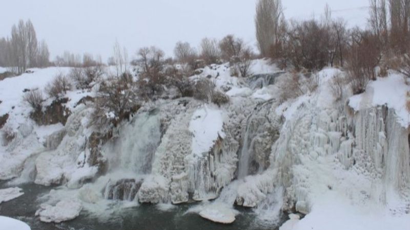Van'da Muradiye Şelalesi dondu