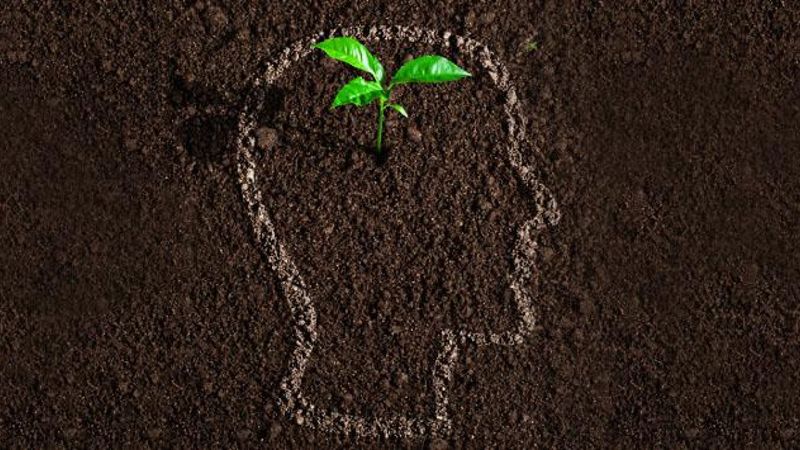 İlk insan ve ilk Peygamber Hz. Adem'in yaratılışı