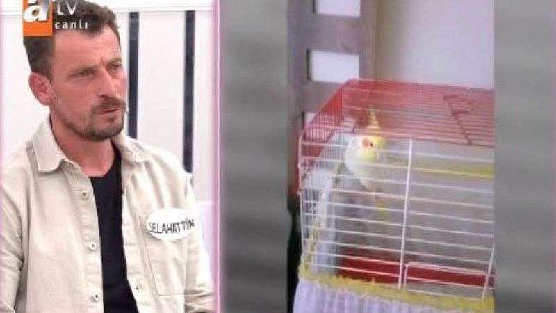 Esra Erol'da programında 'papağanımı geri ver' kavgası