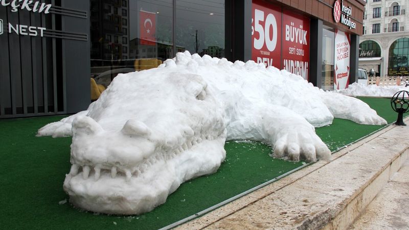 Sivas’ta kardan timsah yaptılar