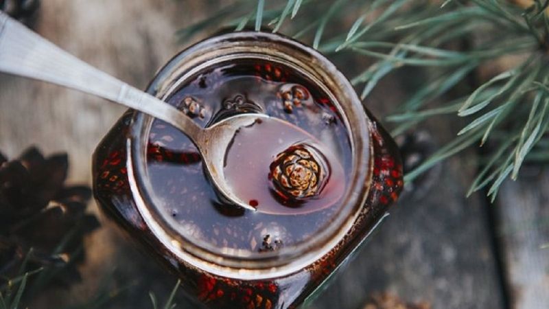 Her gün 1 tatlı kaşığı kozalak şurubu içmenin faydaları