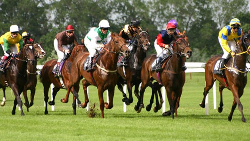 At yarışlarında saatler değişti! At yarışları ne zaman, saat kaçta başlayacak?
