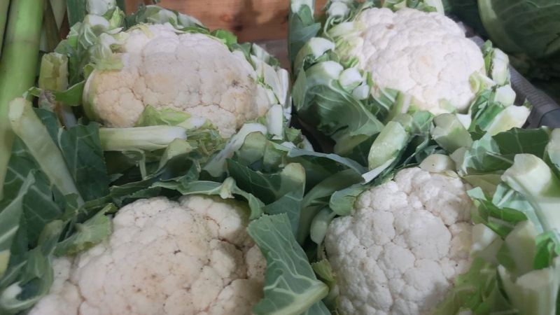 Denizli'de Sevgililer Günü’ne özel karnabahar indirimi