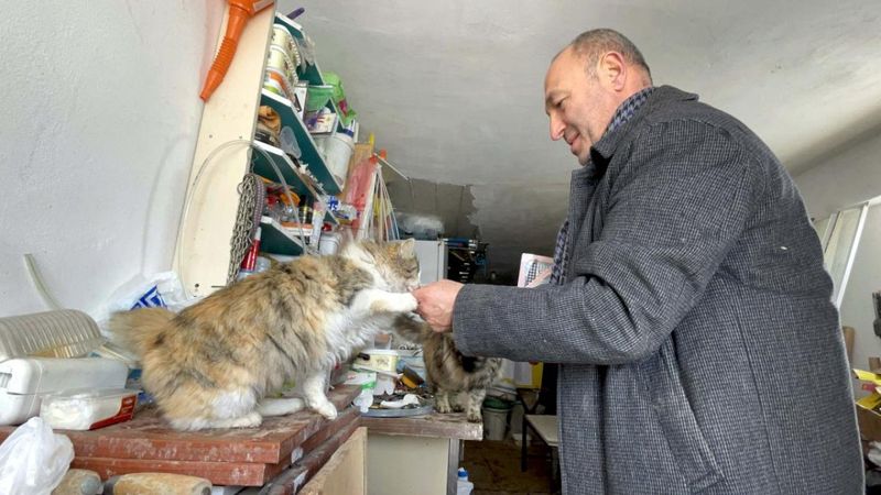Elazığlı hayvansever, yazlık evini sokak kedilerine açtı