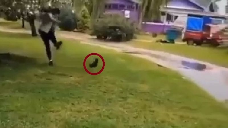 Yalova’da yavru kediyi tekmeleyen Iraklı çocuk için 5 yıl hapis istemi