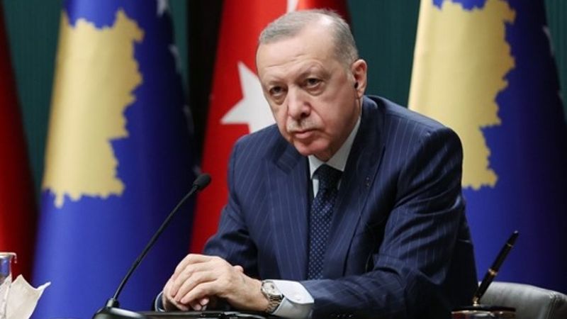 Erdoğan'dan Ukrayna'nın AB üyeliği başvurusu hakkında açıklama