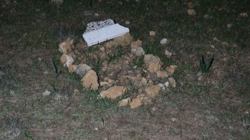 Antalya'da ormandaki mezardan köpek ölüsü çıktı