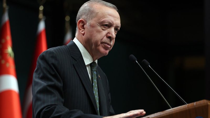 Cumhurbaşkanı Erdoğan'dan İBB'ye ağaç tepkisi