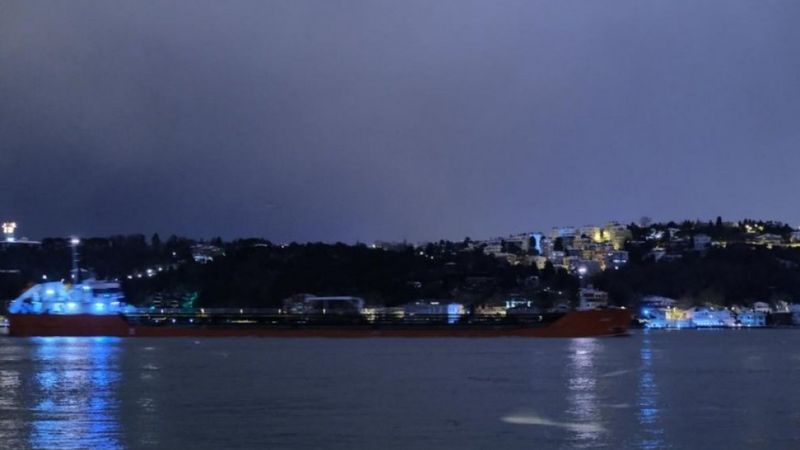 Rusya'dan gelen ayçiçek yağı yüklü ilk gemi Mersin'e ulaştı