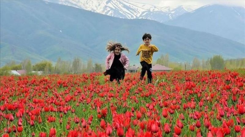 Nevruz Bayramı ne zaman, hangi güne denk geliyor 2022?