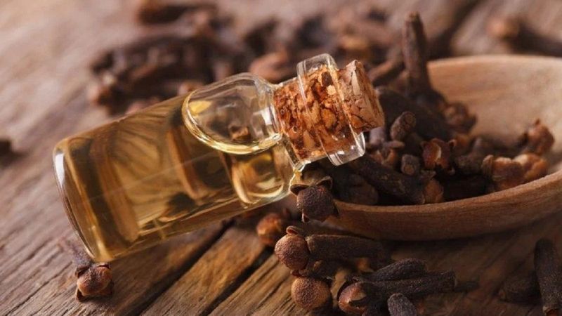 Cinsel gücü artırıyor, ağrıları azaltıyor, kanserden koruyor! Uyumadan 2 saat önce içmek yetiyor...