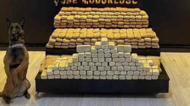 Hakkari'de bir araçta 241 kilo eroin ele geçirdi