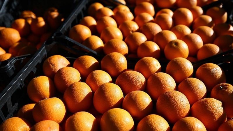 Rusya, Türkiye’ye yönelik bazı kısıtlamaları kaldırdı