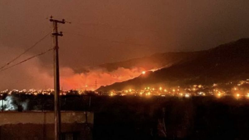 Hatay'da orman yangını