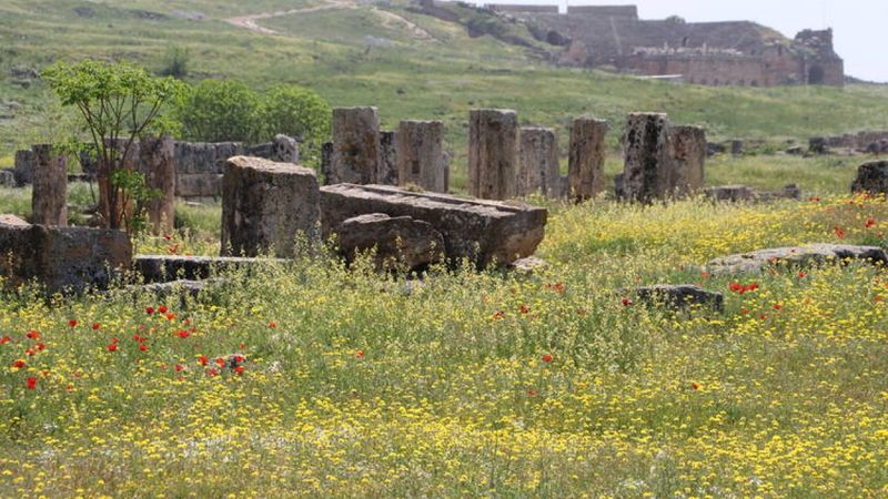 Pamukkale'yi 4 ayda 240 bin ziyaretçi gezdi