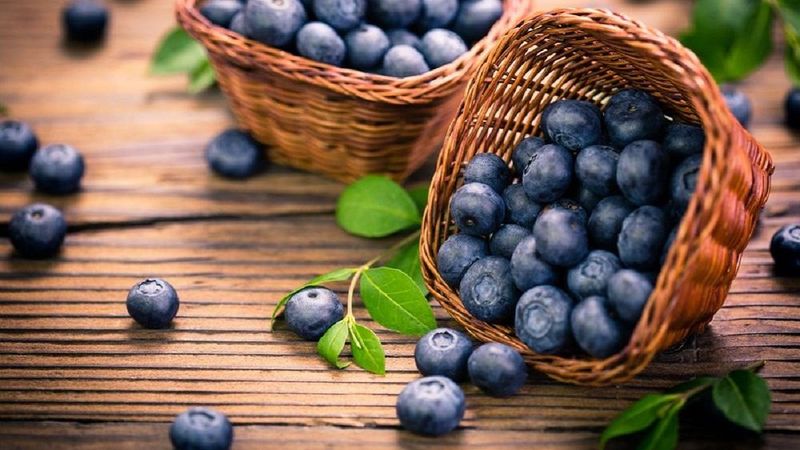 Her derde deva, günde bir avuç yiyin! Yaban mersininin faydaları