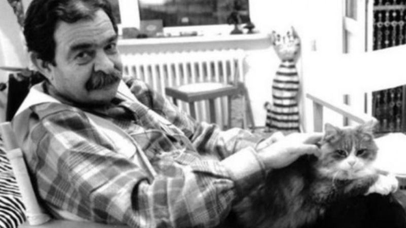 Düşünür, felsefeci ve yazar Oruç Aruoba'sız 2 yıl