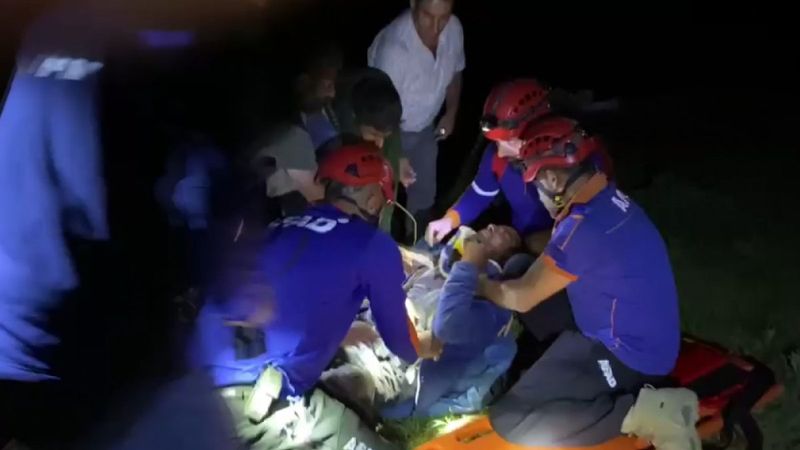 Tunceli'de sürüsüne saldıran kurdu vurmak istedi, arkadaşını yaraladı