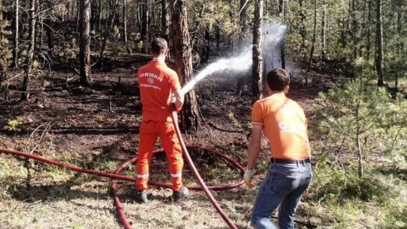 Kütahya Emet'te orman yangını